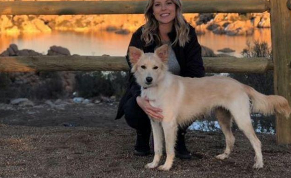 狗狗出门时被蛇咬了，主人家网上进行寻求帮助，却遭受了网民们的提出质疑