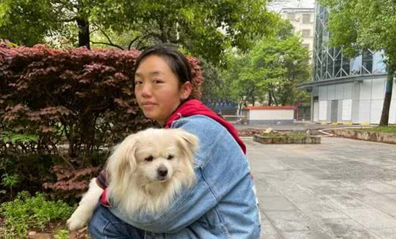 小白狗子宫脓从发现至手术成功主人的心路历程状态风雨后见彩虹