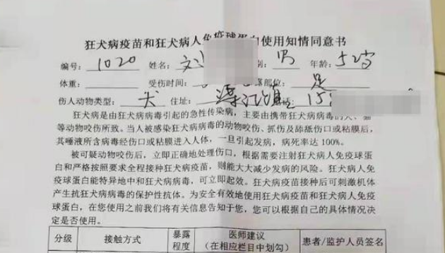 “当街打死金毛犬”事件调查:社区寻主人未果按流浪狗处理