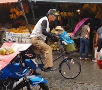 突然下雨了,老爷爷给狗狗戴帽子,老爷爷:可不能淋湿了!