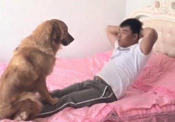 狗狗聪明乖巧善解人意,可惜遇上二货主人,这表情简直绝了