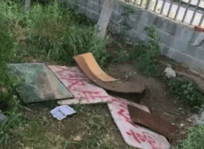女孩好心给流浪狗搭建遮雨棚,然而第二天来一看,却气的当场大骂