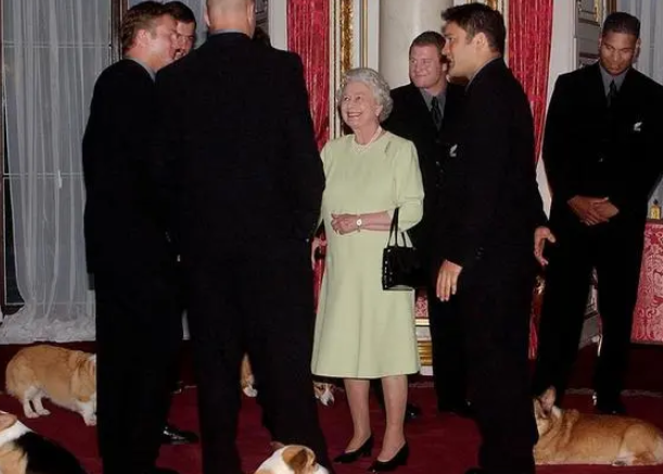 英国女王与她的柯基们：狗陪伴她走完人生旅程