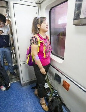 大陆导盲犬珍妮服务8年后退休 陪伴养老的新主人