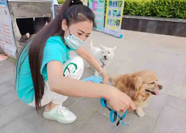 牵紧“文明绳”做文明养犬人