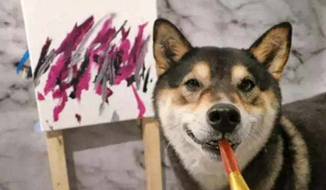 柴犬靠“卖画”为生,为主人赚了3万多,连狗都比我有才华