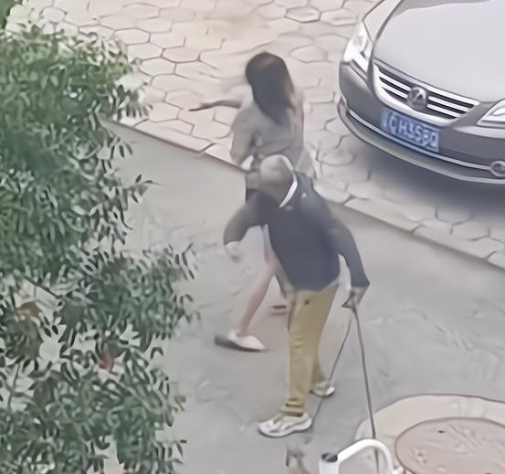 女子遛多只狗不栓绳，竟还脱下拖鞋，人狗一起围攻遛狗大爷