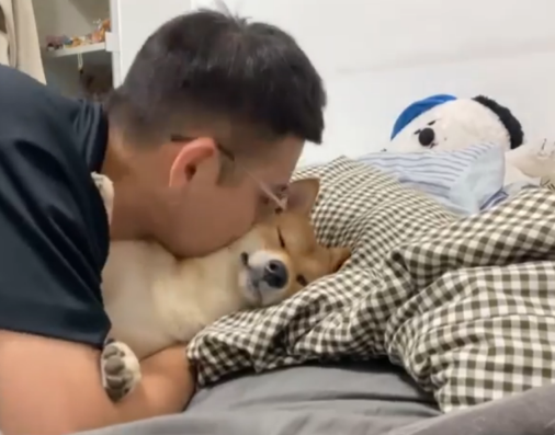面对主人狂吻,柴犬一脸生无可恋!但有的狗狗并不喜欢亲吻拥抱