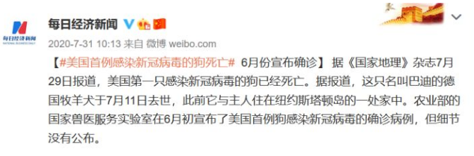 狗和孩子同时养可行吗?答案是不可以