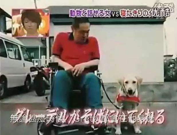狗狗即将离世,通灵师翻译出了狗狗的遗言,瞬间泪奔