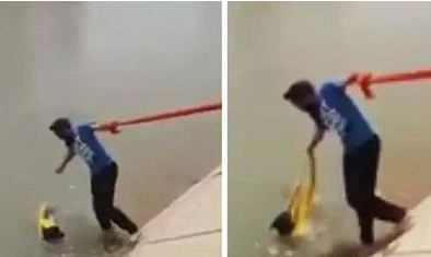 这个男子违背重于生命的教义 竟然只是为了救一只狗