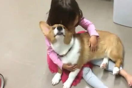 小女孩哭得声嘶力竭打扰到小狗,当它悄悄的挨近下一秒统统看哭!