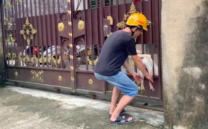 狗狗回家被卡在了门上,路人帮忙抬狗腿往里塞,这画面太好笑了!