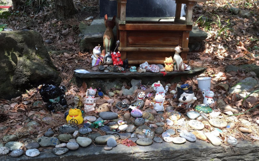 “奇葩”岛屿禁止任何狗上岛，却是猫咪的天堂