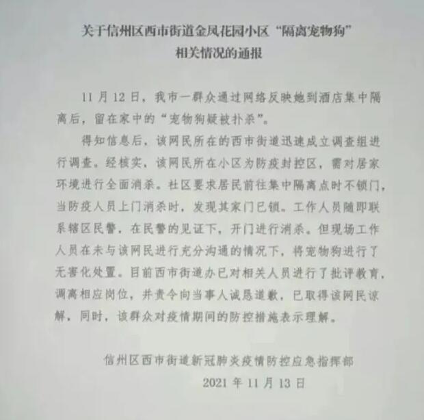 “隔离宠物狗”被扑杀?当地回应