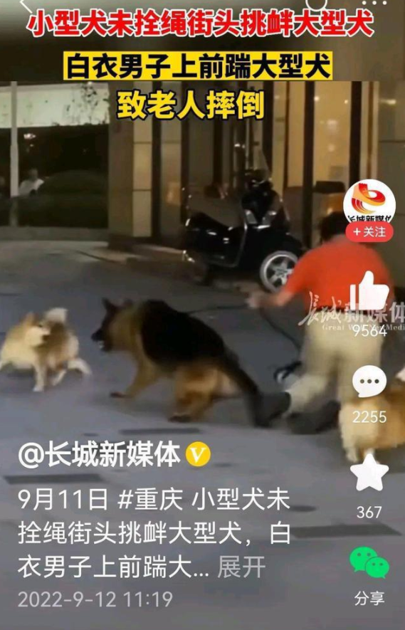 未牵绳小狗挑衅大狗被咬 男子踹狗致老人摔倒