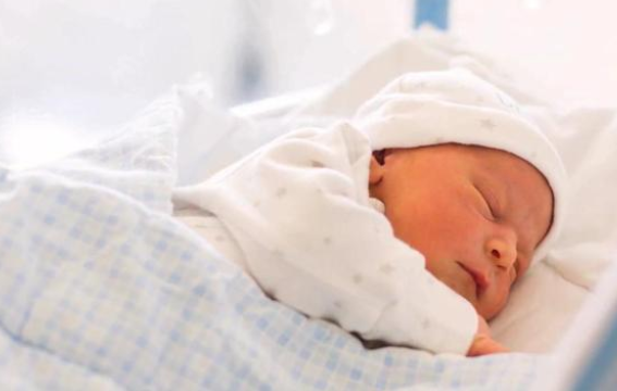 宠物狗拯救了新生儿的生命,之后奇迹接连不断的发生