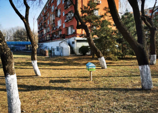 狗狗的“便便屋”——温馨之举,或许“没挠到痒处”!