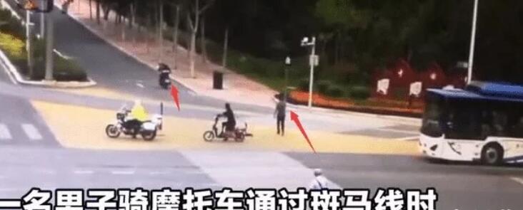 宠物狗不栓绳上马路,摩托车主碾压后扬长而去爱找谁赔找谁赔