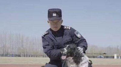 “青铜”变“汪者”!冰城警犬“太极”“嗨畏”被评为功勋犬