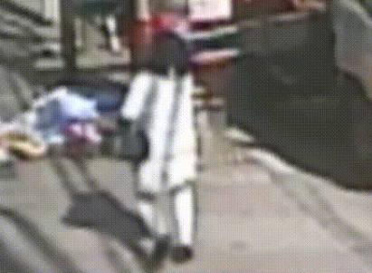 七岁贵宾犬被陌生人抱走，被找到后竟变成这样，主人不忍哭成泪人