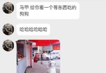 为了吃肉狗豁出去了,肉摊前坐了好数小时