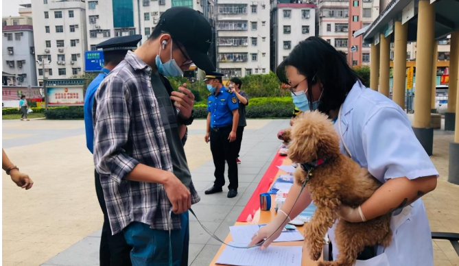 11月起未给犬只注射芯片视为无证养犬,宠物医生称排异概率极低