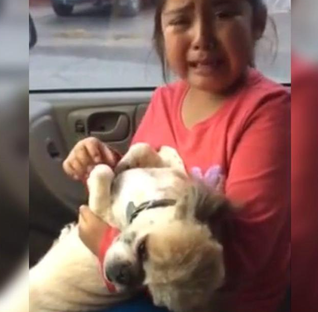 小女孩抱着刚做完美容的爱犬痛哭:它都秃了,看起来真的好像猪!