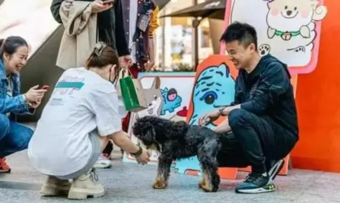 普陀这的首届宠物嘉年华开幕,市民携猫带狗来打卡