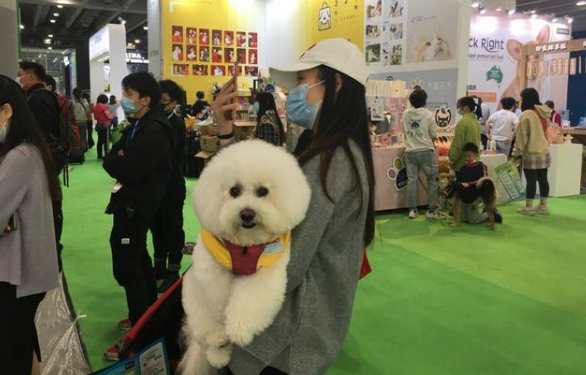 “狗狗摇尾巴就是开心?错!”亚宠展“教你一分钟读懂狗语”回顾
