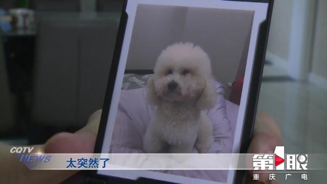 某小区宠物狗接连死亡 警方介入调查