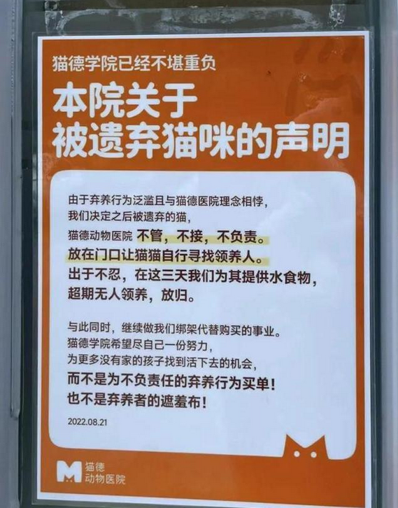 爱心网红靠流浪狗得百万打赏,猫德学院濒临破产,宠物经济真奇怪