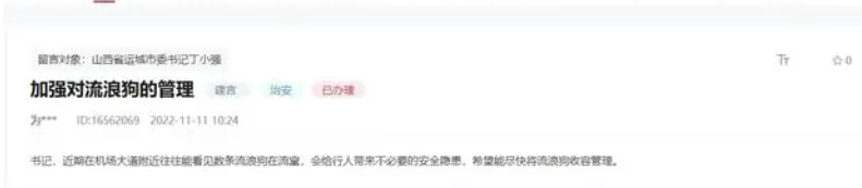 网友建议加强流浪狗的收容管理 山西运城:专项整治