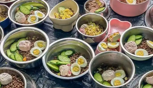 宠物寄养假期爆满，宠物经济赛道“拥挤”暗藏隐忧