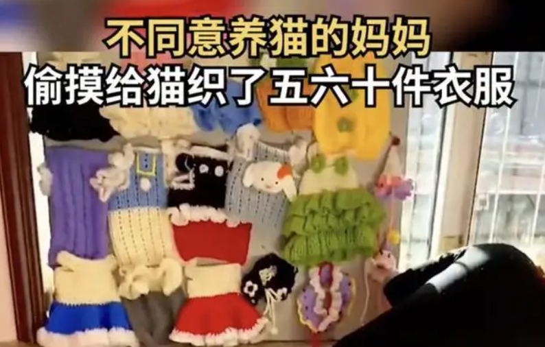 男子花2000元为狗定制貂皮衣,网友:人不如狗