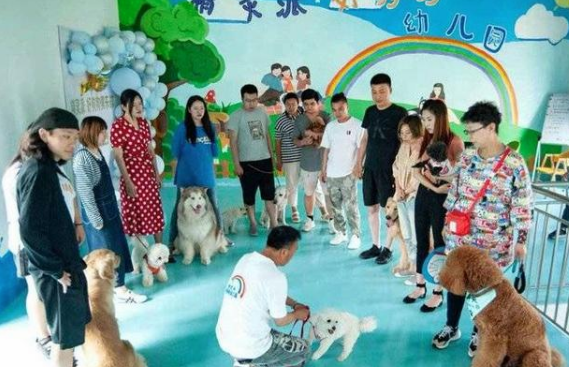 济南有了首家文明养犬宠物俱乐部