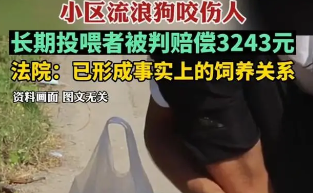 陕西流浪狗咬伤居民,长期投喂者被判赔偿3000元,网友:善没善报