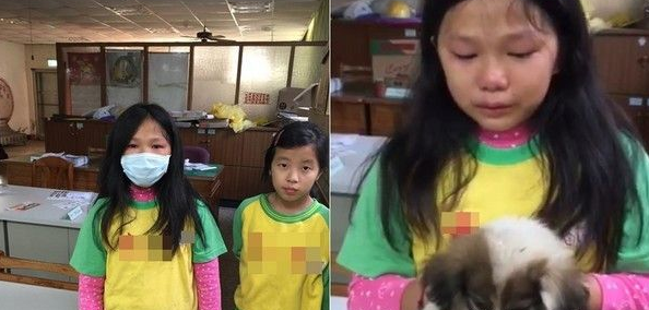 孤儿小狗无处可去 小学生心碎哭肿眼求有人收留