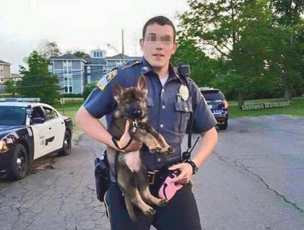 警犬的“黑史”？黑脸大个儿的儿时，竟然是靠装萌渡日