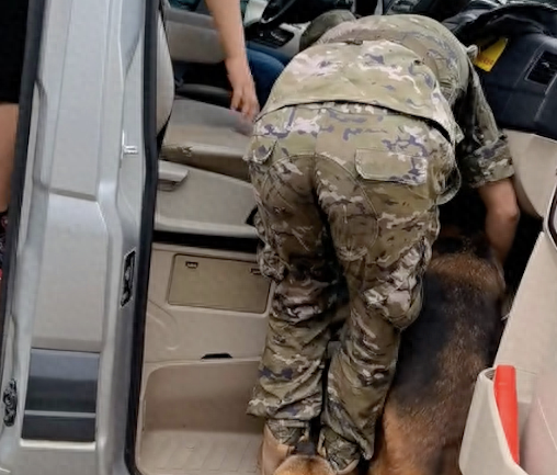 饲养员要退伍了，警犬不舍跑到车上待着，还挡住司机不让他开车！