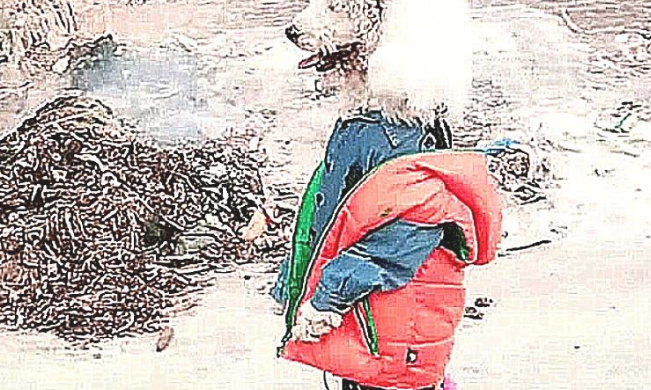 道上碰到一小孩子,的身上爬满白色狗毛,好奇心来到反面,一脸心痛