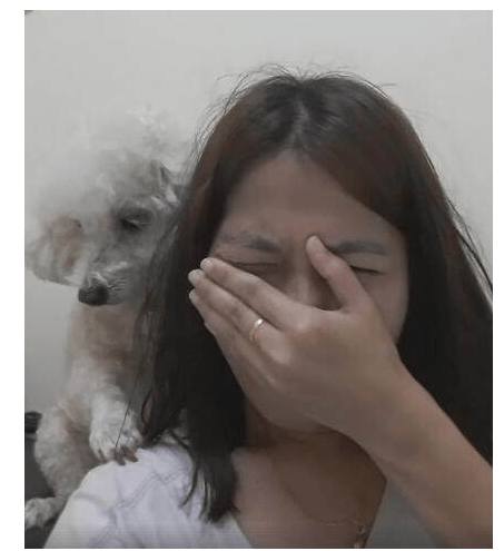 主人装作在狗狗面前伤心哭泣,狗狗做出的反应却让主人真暖哭