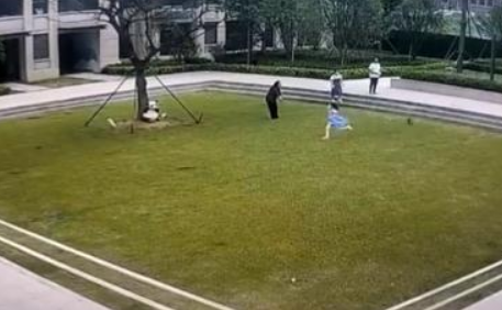小女孩被未拴绳小狗狂追近30秒后摔倒,狗主人竟淡定围观