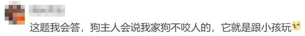 小女孩被未拴绳小狗狂追近30秒后摔倒,狗主人竟淡定围观