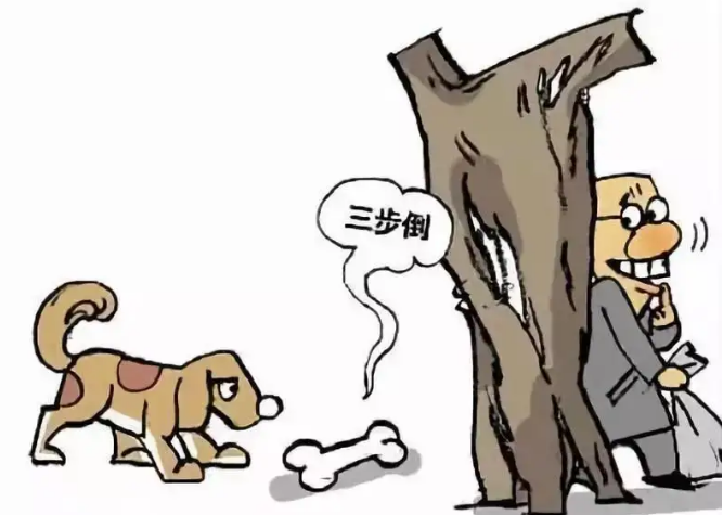 多地连发“毒狗”事件,“以暴制暴”?检察官郑重提醒