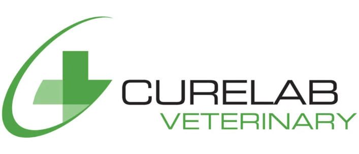 基因疗法让骨关节炎犬只重获活力，可有效缓解宠物疼痛