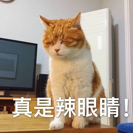 女子忘记关狗笼,担心10多万的红木家具被啃,急忙回家后不忍直视