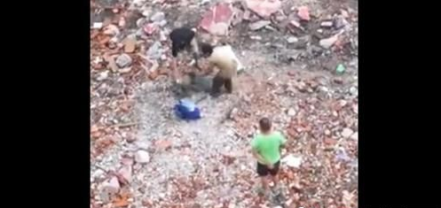 武汉两男残忍虐死贵宾狗 竟还剥皮吃肉
