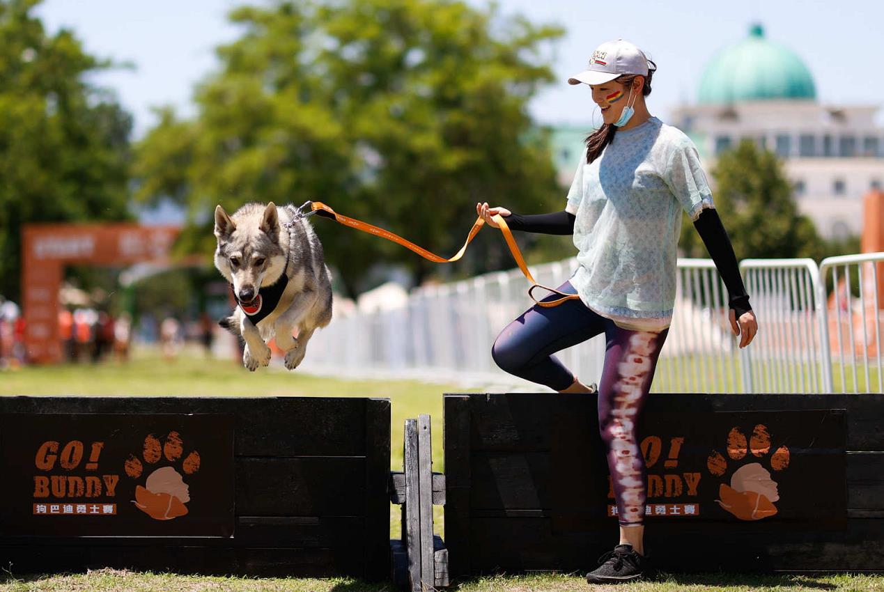 人犬合作征战障碍赛!狗巴迪勇士赛首站登陆北京