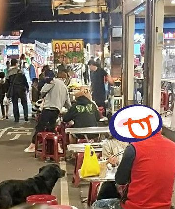 黑狗沿桌讨饭超专业 吃完一轮再重头来过